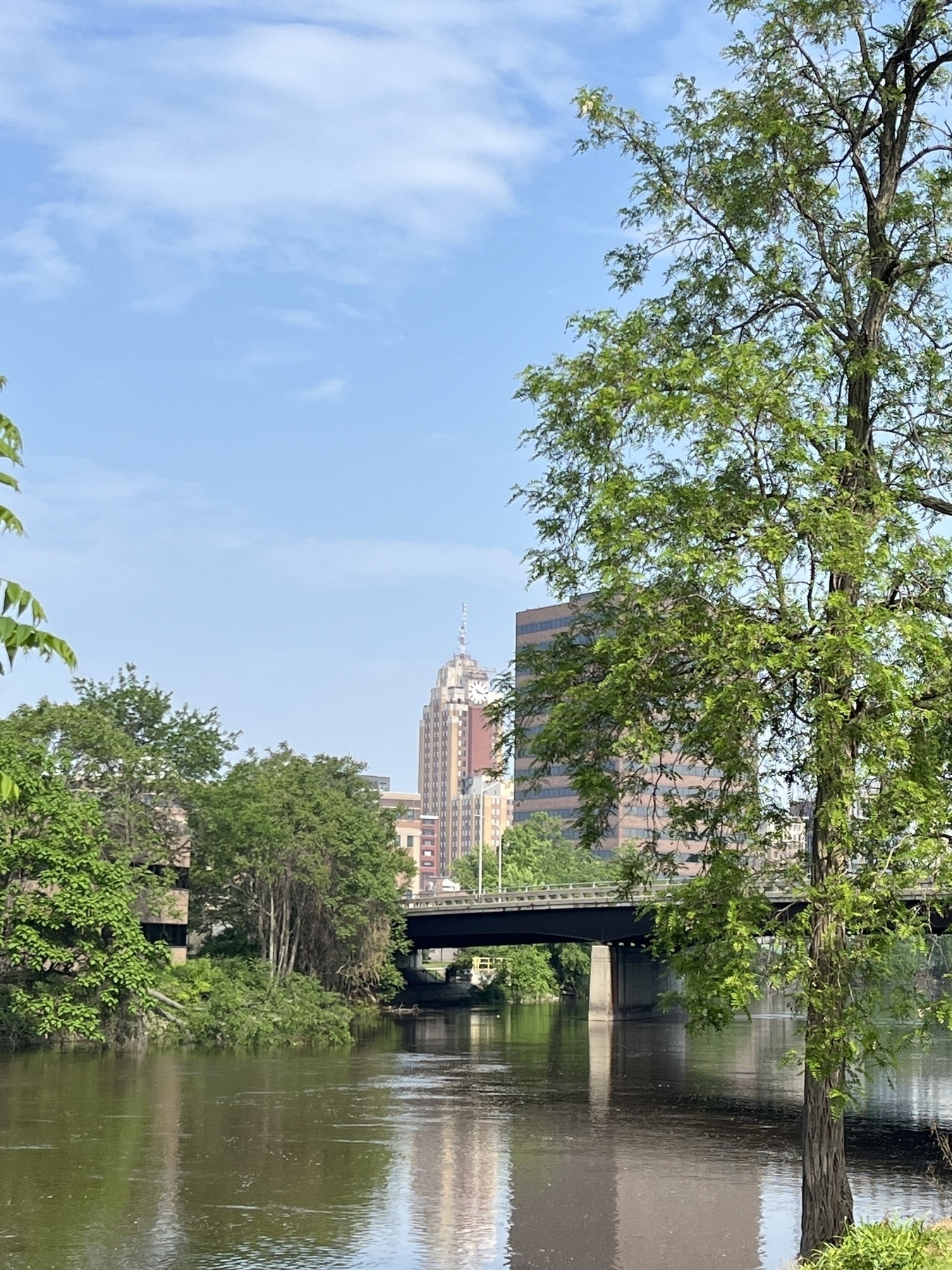 A serene river with lush greenery is set against a backdrop of urban buildings and a clear blue sky.