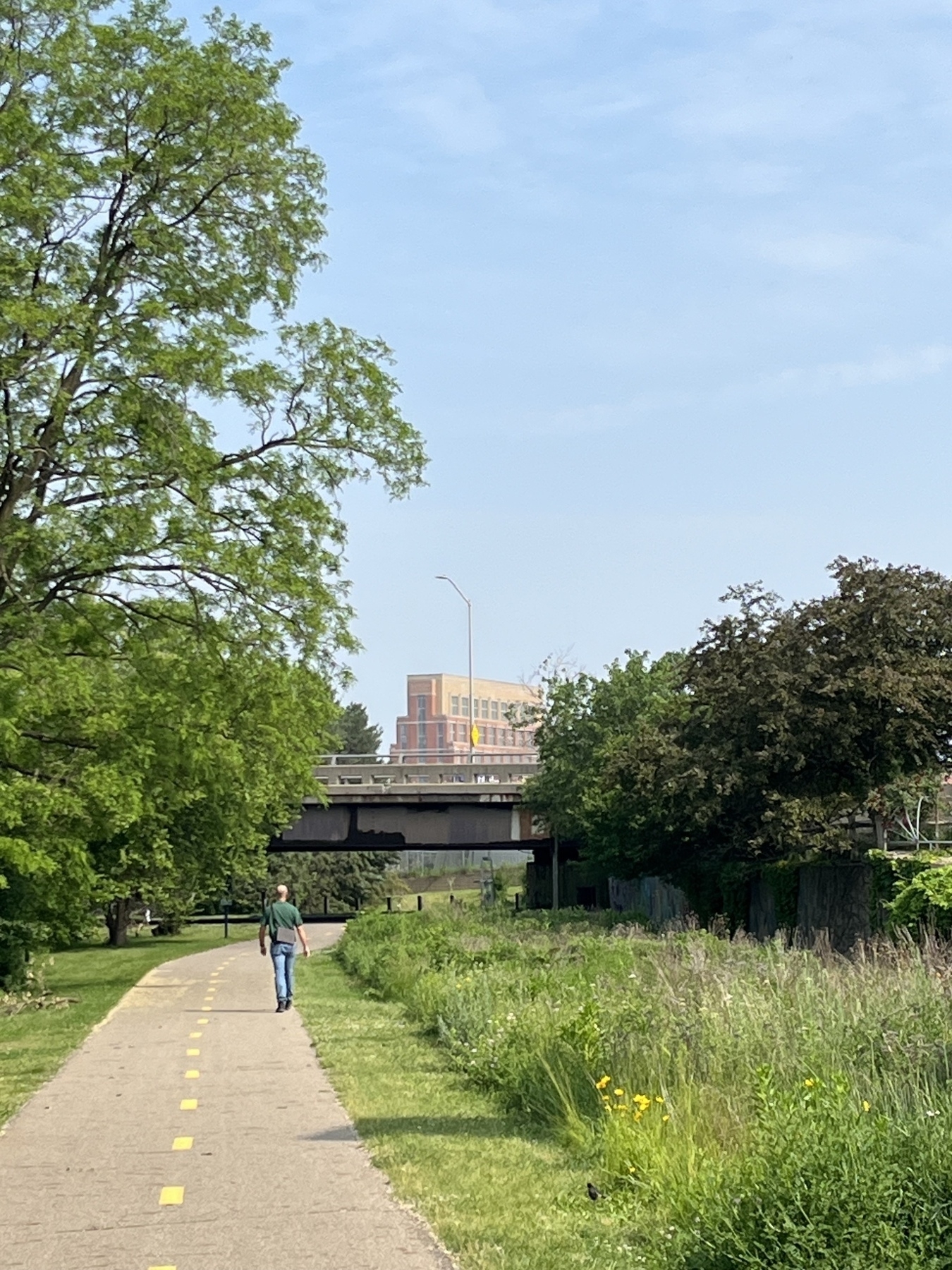 A person walks along a paved path surrounded by trees and greenery, with a bridge and building visible in the background.