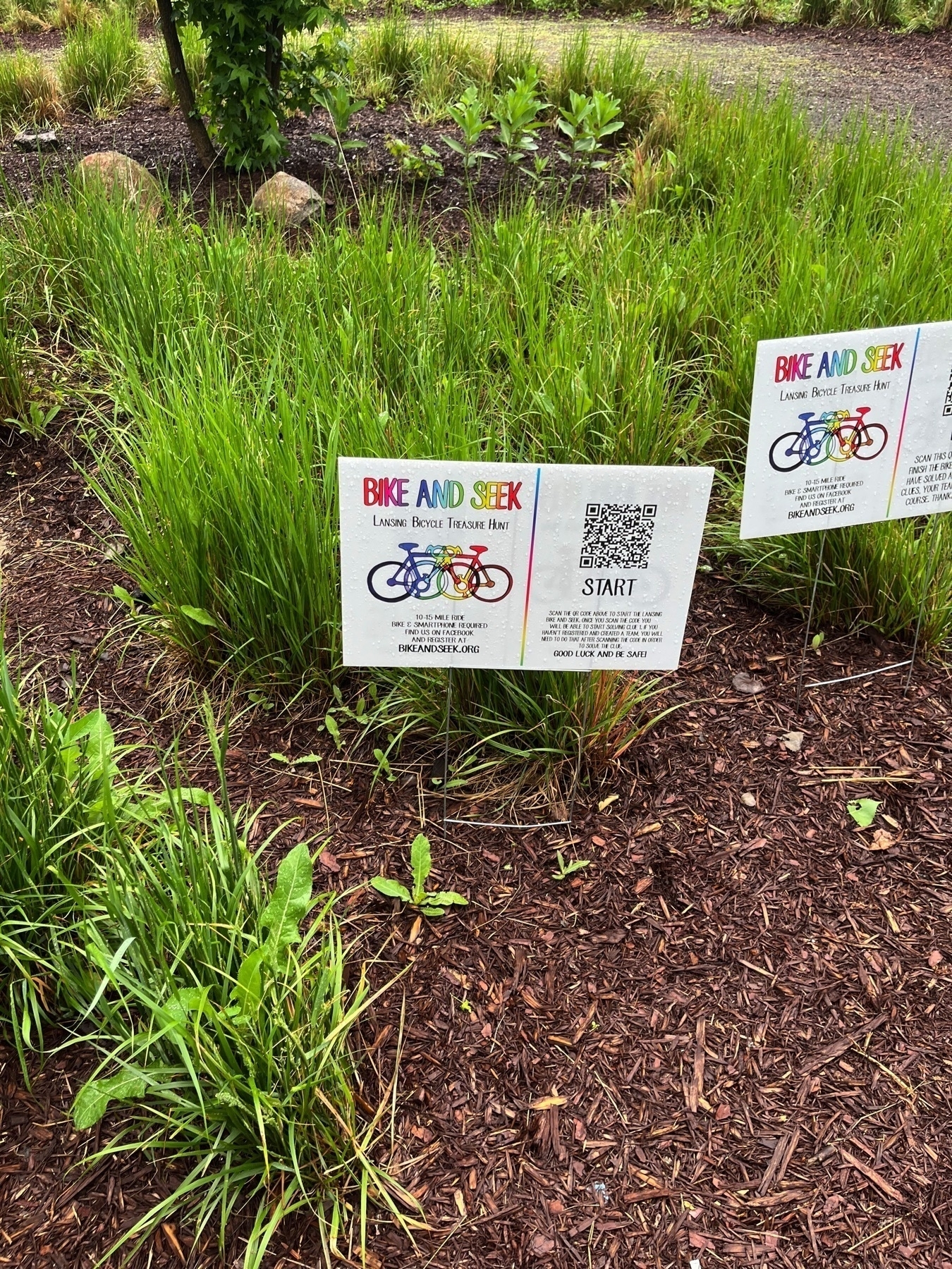 Lawn signs advertise a Bike and Seek event with QR codes and instructions near landscaped greenery.