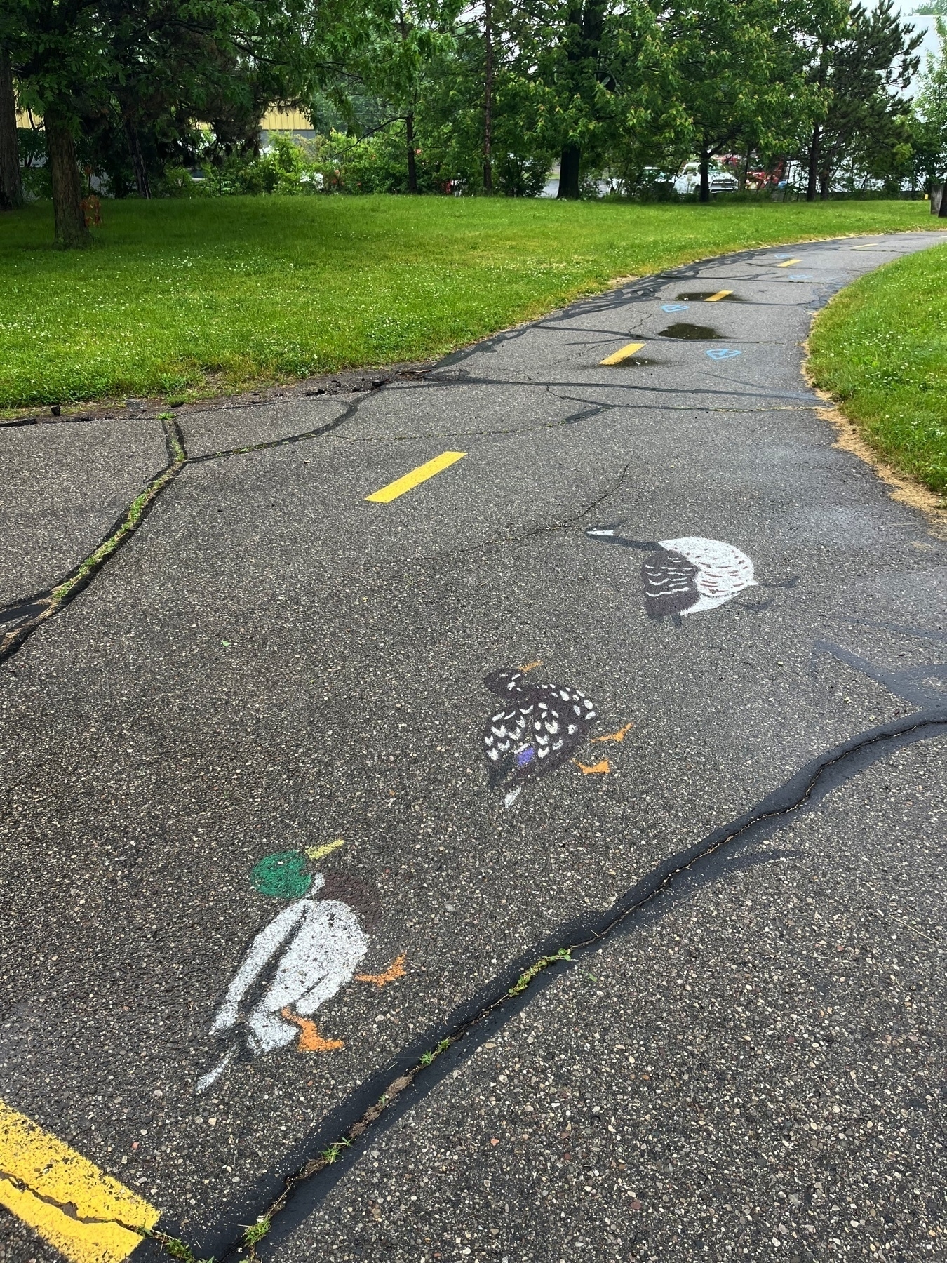 A paved pathway in a park has painted images of birds on it, surrounded by grass and trees.