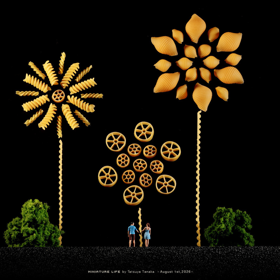 A miniature diorama by Tatsuya Tanaka for August 1st, 2026. Set against a pitch-black night sky, three elaborate firework bursts are created from various shapes of dry pasta—fusilli spirals, conchiglie shells, and rotelle wagon wheels—mounted on long, wavy pasta stems. Below, a tiny miniature couple stands holding hands between two green bushes on a dark horizon, looking up in awe at the pasta fireworks display.